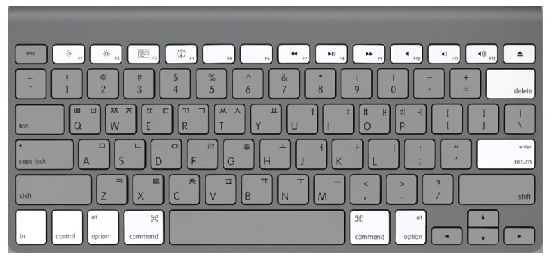 Apple Wireless Keyboard 특수 키