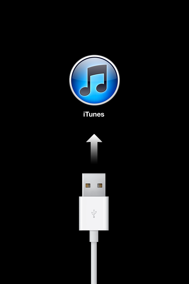 USB cord pointing the iTunes symbol