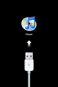 Usb cord pointing the iTunes symbol